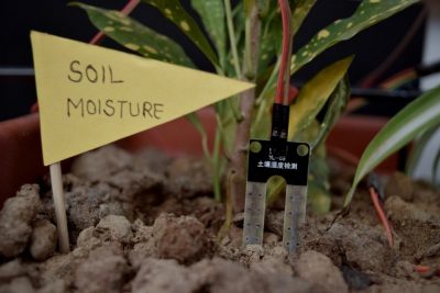 soil moisture sensor