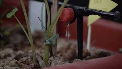 Drip Irrigation System