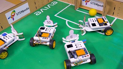 Soccer Playing Robot