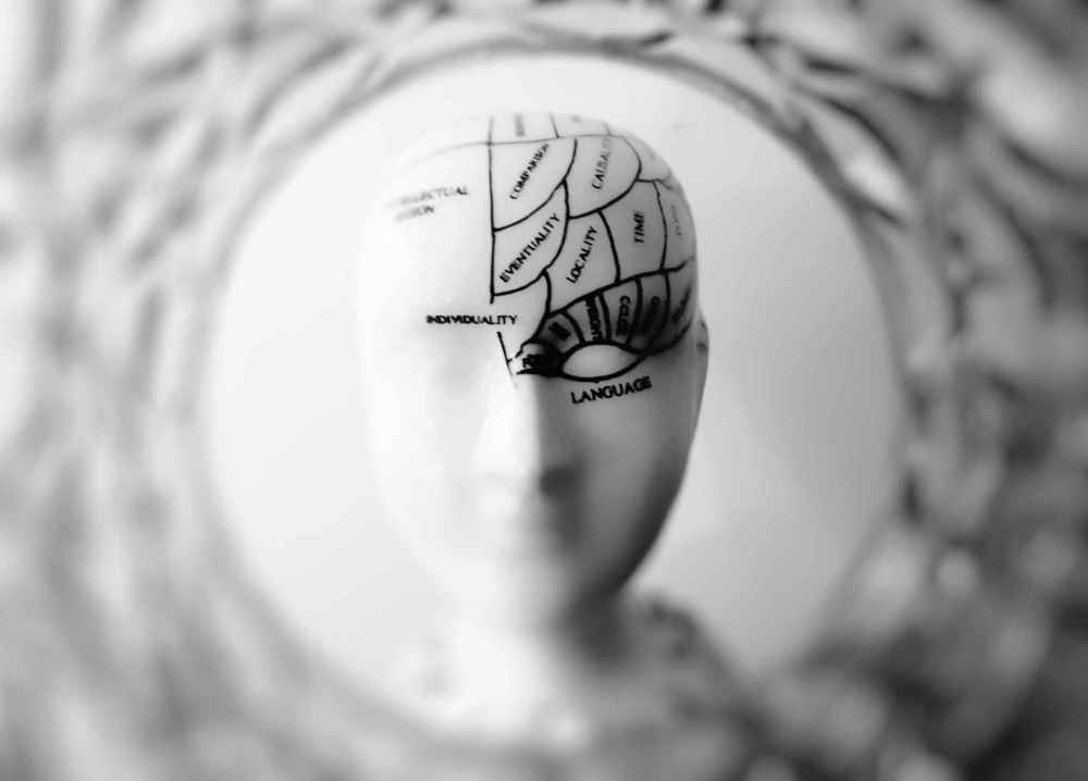 brain training