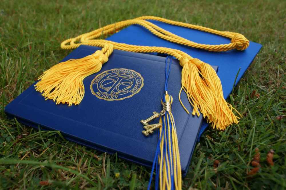 STEM as University Degree