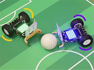 Quarky robot play Football